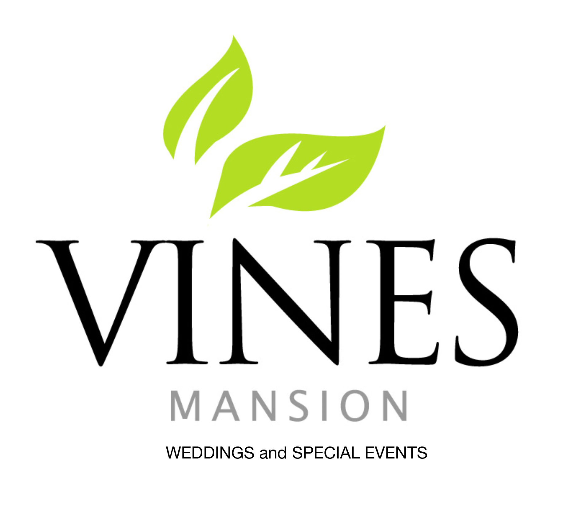 home-neighborhood-christmas-train-experience